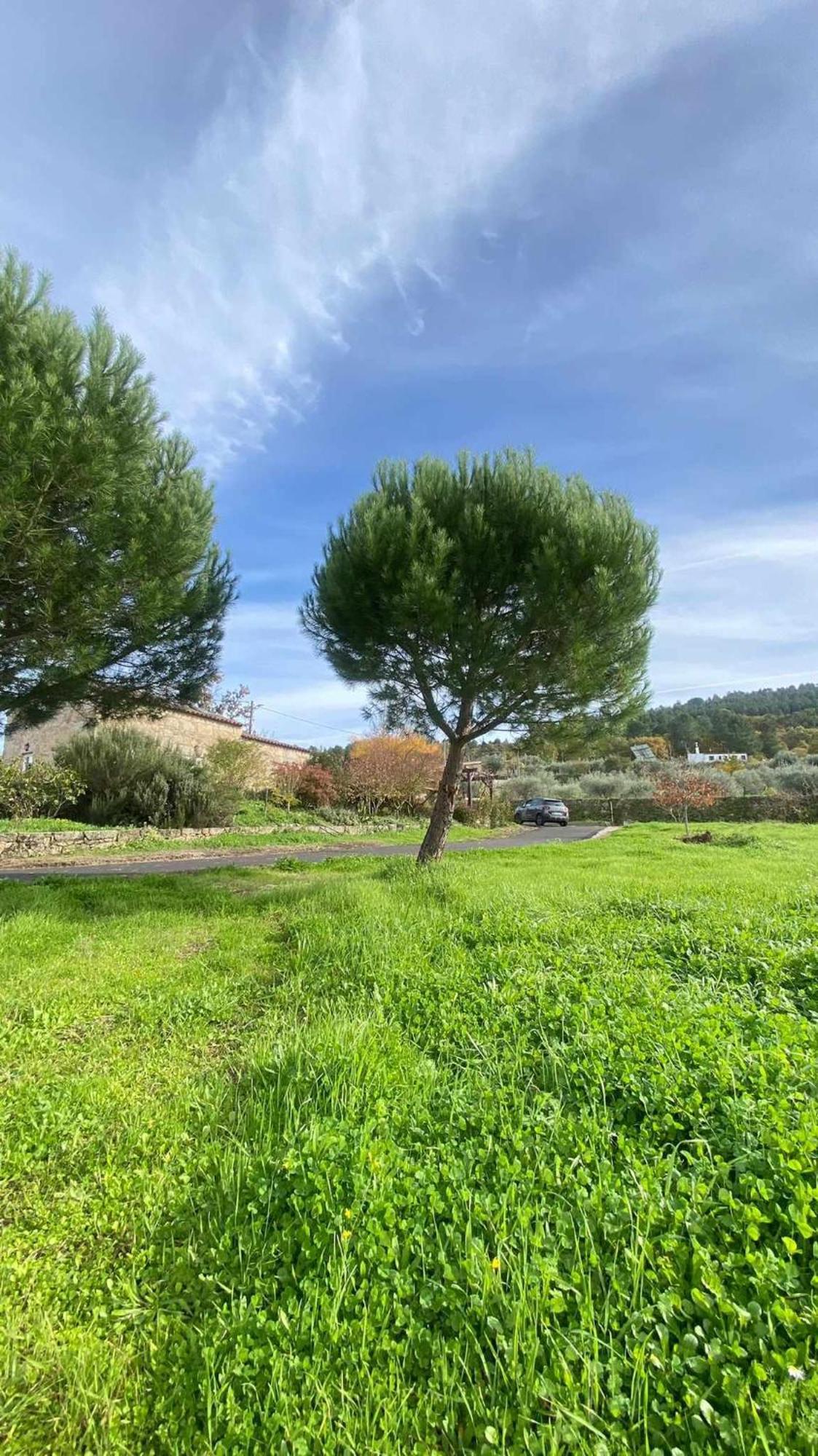 Casas Do Minerio Villa Guarda Kültér fotó